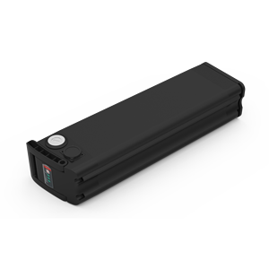 Reention Siver Fish Batterie für Fahrrad 48 V 36V Elektro fahrrad 24V 36Volt 48 Volt Elektro fahrrad Lithium Batterie - Product Image 3