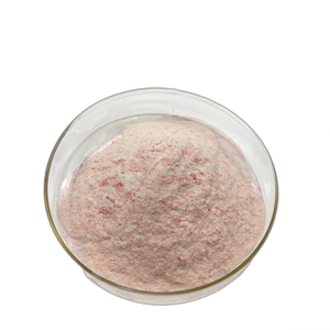 <span class=keywords><strong>Vatica</strong></span> <span class=keywords><strong>Astrotricha</strong></span> Ekstrak Greengage Green Plum <span class=keywords><strong>Powder</strong></span> - Product Image 3