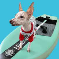 Offre Spéciale Rigidité Et faible Poids Facile Déjouer panneau de Papier Hydroptère Surf Windsurf Foil