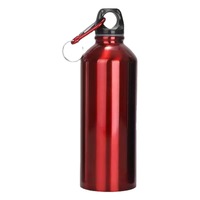 Bouteille d'eau de sport en aluminium métallique réutilisable colorée promotionnelle de 20 oz