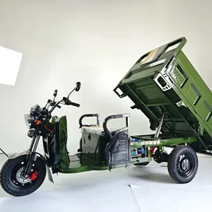 Dump Truck Scooter Three Wheels Electric Scooter Dump Electric Tricycle with 2000W Big Motor