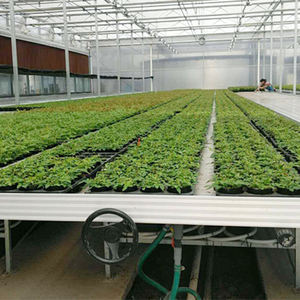 MYXL Gewächshaus Anbautisch 4x4 Fluttische Ebbe-Flut-System Tische Schalen Ebbe und Flut Rolltische - Product Image 6