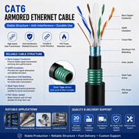 Kabel Ethernet Cat6 Solid 8-Konduktor Berlapis Baja untuk Instalasi Jaringan Luar Ruangan (Direct Burial) dengan Konduktor Tembaga Terlindungi