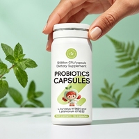 Complément alimentaire digestif à base de plantes anti-ballonnements avec probiotiques pour un ventre plat et la réduction de la graisse viscérale