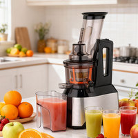 Hoge Kwaliteit Commerciële Elektrische Volautomatische Multifunctionele Fruit Slowjuicer