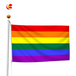 Bandera de Orgullo Gay, 3x5 pies, LGBT, Bandera de arco iris, Bandera de BI Pride, bandera BISEXUAL - Product Image 3