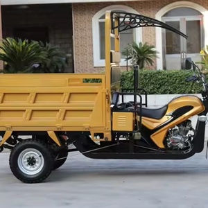 รถสามล้อบรรทุก 150 ซีซี 200 ซีซี รถมอเตอร์ไซค์บรรทุก รถสามล้อการเกษตร - Product Image 5