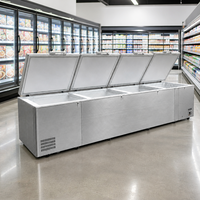 Congélateur coffre horizontal à porte pleine à refroidissement direct pour la logistique de la chaîne du froid - Vente en gros