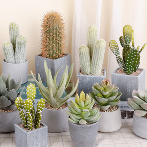 Artificial Cactus Potted Plant High Simulation Indoor Decor 24cm Succulent Bonsai Desktop Ornament - Product Image 2