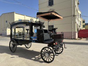 Cercueil funéraire à chevaux à vendre, cercueil funéraire à chevaux blancs, voiture funéraire, transport spécial, cercueil funéraire électrique - Product Image 2