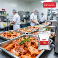 Poudre de marinade épicée 5KG en vrac, poudre de marinade épicée à l'ail pour viande, pour poulet frit/barbecue/marque privée OEM ODM Baiwei Food