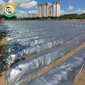 Film de paillage opaque en PE argenté pour jardin, élimination des mauvaises herbes, régulation de la température du sol, contrôle des insectes - Product Image 1