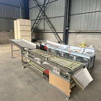 Automatische roltype fruit sorteermachine van roestvrij staal voor het sorteren en selecteren van appels, sinaasappels, citroenen, aardappelen en uien