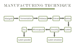 عالية النقاء <span class=keywords><strong>Lutein</strong></span> 75% الصين توريد <span class=keywords><strong>Lutein</strong></span> خلاصة القطيفة - Product Image 6