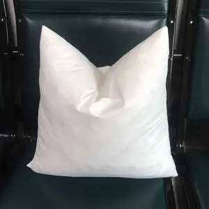 60*60 <span class=keywords><strong>piuma</strong></span> d'anatra bianca 2-4cm <span class=keywords><strong>cuscini</strong></span> inserto <span class=keywords><strong>per</strong></span> cuscino produce cuscino in <span class=keywords><strong>piuma</strong></span> d'anatra bianca <span class=keywords><strong>per</strong></span> la schiena del corpo - Product Image 1