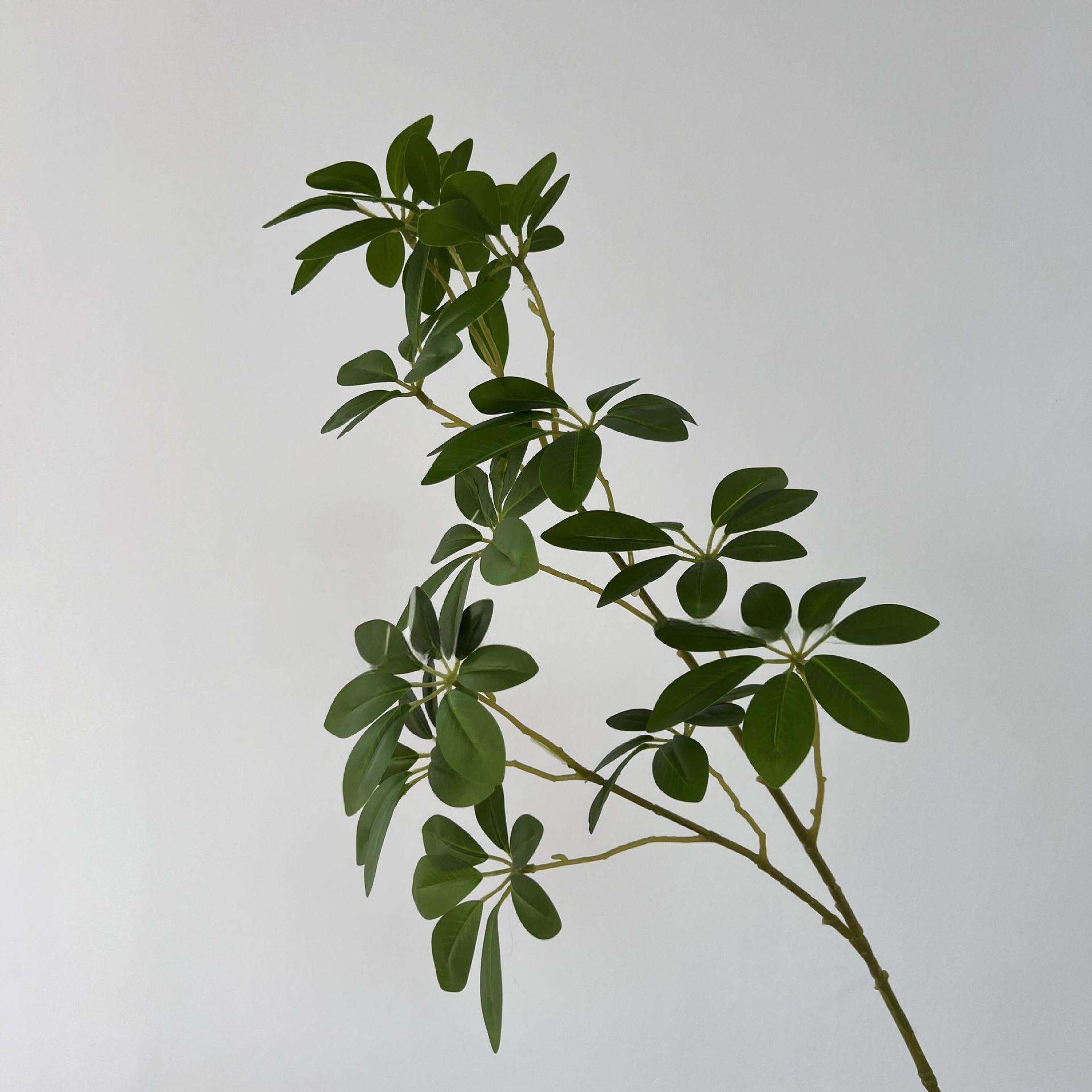 ไม้เท้าเป็ดสีเขียว