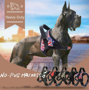 Arnés de Nailon Resistente C043 para Perros, Talla XL, Extra Grande, Grande, Mediana, Pequeña, con Diseño de Letras, Chaleco Acolchado con Accesorios para Husky - Product Image 5