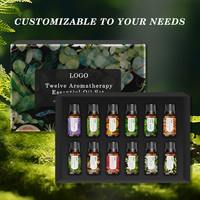Ensemble Cadeau d'Huiles Essentielles Ingrédients Naturels Quotidien Douze Aromathérapie Ensemble d'Huiles Essentielles pour Massage du Corps