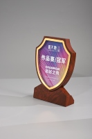 Trophée de marbre de cristal personnalisé Prix gravés créatifs Utilisation personnelle de l'entreprise Cadeaux souvenirs uniques Trophées Médailles Plaques