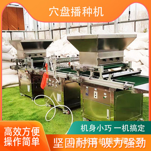Shandong Changfu Agricultural Seeder 12 <b>Rows</b> Automatic Seedling Cultivation <b>Machine</b> For Crop Planting - Product Image 5