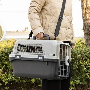 Factory Direct Airline Cat Backpack Factory Direct Cat Bag Carrier Metal Door Air Permeable Pet Transport Box