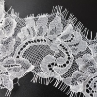 Dentelle française en nylon 100% personnalisée, dentelle florale sexy, dentelle élastique en voile pour accessoires vestimentaires, bricolage de sous-vêtements et de soutien-gorge