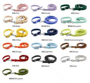 <span class=keywords><strong>Collar</strong></span> y Correa para Perros de Lujo Manos Libres de Fabricante, Set Impermeable de <span class=keywords><strong>PVC</strong></span> para Mascotas - Product Image 2