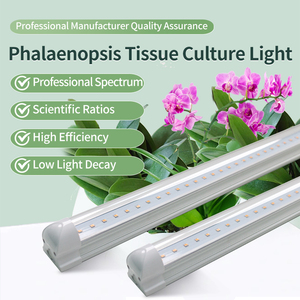 La lumière <span class=keywords><strong>de</strong></span> <span class=keywords><strong>culture</strong></span> <span class=keywords><strong>de</strong></span> tissu <span class=keywords><strong>de</strong></span> Phalaenopsis LED est conçue pour la <span class=keywords><strong>culture</strong></span> <span class=keywords><strong>de</strong></span> tissu et la propagation <span class=keywords><strong>de</strong></span> <span class=keywords><strong>semis</strong></span> des orchidées <span class=keywords><strong>de</strong></span> Phalaenopsis. - Product Image 2