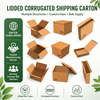 Boîtes en carton ondulé personnalisées avec gaufrage, doublure en éponge, fermeture magnétique étanche, poignée – Emballage d'expédition écologique