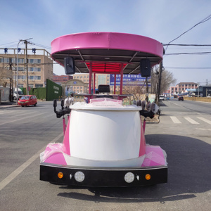 City Tour Bike 16 personnes équitation vélo <span class=keywords><strong>Tandem</strong></span> à vendre bière vélo fête 60V électrique <span class=keywords><strong>Cargo</strong></span> Tricycles Eec peinture en aérosol ouvert - Product Image 6