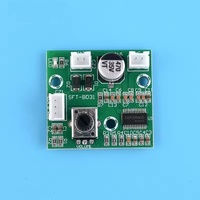 Mini amplificateur audio mono haute puissance, module amplificateur numérique Hi-Fi 60W, compatible 12V/24V