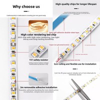 Meilleure Qualité, Vente Directe Usine, Bande LED PVC CE Rohs IP20 pour Aménagement Paysager, Ra80 CRI DC24V, Garantie 3 Ans, Blanc Chaud
