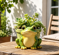 Pot de fleurs en céramique en forme de grenouille de dessin animé, finition mate, respirant, auto-arrosant, pour plantes succulentes, style pastoral, décoration de jardin intérieur/extérieur