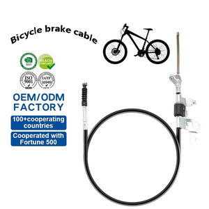 Câble d'urgence de frein en acier inoxydable personnalisé pour chariot Tailift Fork Lift <span class=keywords><strong>Hand</strong></span> Push Pull Control E Bike <span class=keywords><strong>Motorcycle</strong></span> Body Systems - Product Image 1