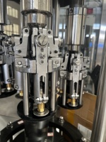 Machine de remplissage et de bouchage automatique d'alcool de type industriel 5000-6000 BPH, machine de scellage à vis pour vin
