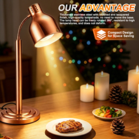 Lampe chauffante infrarouge en acier inoxydable pour buffets d'hôtels et restaurants, idéale pour les pizzas, les aliments frits et la maintien au chaud des plats