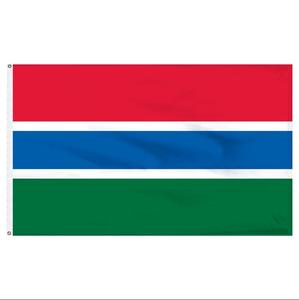 Drapeau du Niger 3x5 pieds Polyester Drapeaux nationaux boliviens Polyester avec œillets en laiton 3x5 pieds - Product Image 6