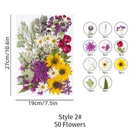 ZS031 Fleurs séchées pressées naturelles, plantes séchées pour bougies, résine, bijoux, nail art, Noël, écologiques, cuisine