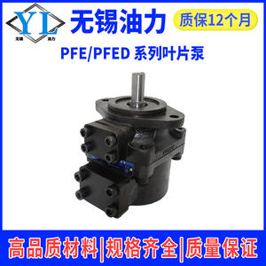 Pompe à palettes de type Atos Yuci PFE-21010310164104551150-1DT Pompe à huile hydraulique Catégorie de produit Pompes hydrauliques - Product Image 5