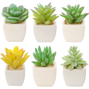 Vendita di Fabbrica <span class=keywords><strong>Piante</strong></span> Succulente <span class=keywords><strong>Artificiali</strong></span> in Vaso Mini <span class=keywords><strong>Piante</strong></span> Succulente Finte in Vaso con Supporto Vendita all'Ingrosso - Product Image 4