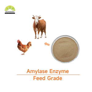 Фермент бета-амилазы | Ингибитор альфа-амилазы для текстильной промышленности ферментов Амилазы - Product Image 5