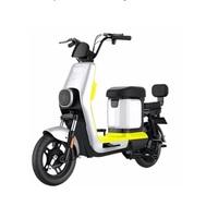 Bicicleta Eléctrica de Fábrica, 350W, 48V, 23Ah, Batería de Plomo-Ácido, Alta Velocidad, Controlador Inteligente, Motor de 750W para Ciudad
