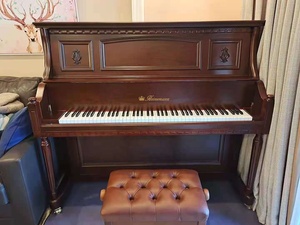 Đàn Piano Dọc 88 Phím Acoustic Đàn Piano Với Đàn Piano Băng Ghế Dự Bị - Product Image 3