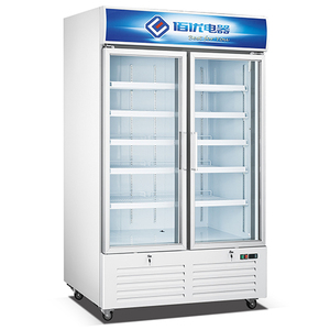 Congélateur vertical commercial 958L pour fruits de mer, refroidissement par air, double porte vitrée, pour bœuf et crème glacée, approvisionnement en gros - Product Image 1