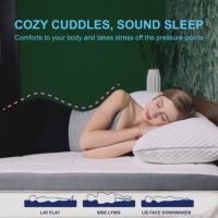Surmatelas matelassé en mousse à mémoire de forme haute densité personnalisé, anti-bactérien, imperméable, avec housse amovible, 500 fils au pouce carré – Vente directe usine