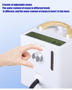 CNTECH 2600W Vaporizzatore Elettrico Domestico Multivelocità Regolabile Portatile con Serbatoio in Acciaio Inox da 1L e Vapore ad Alta Temperatura - Product Image 2
