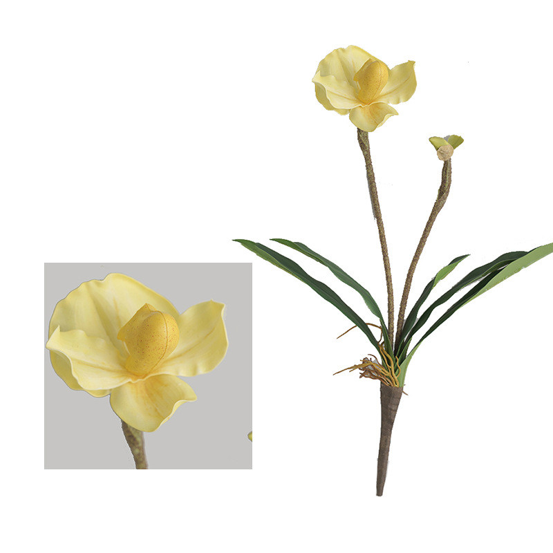 สีเหลือง