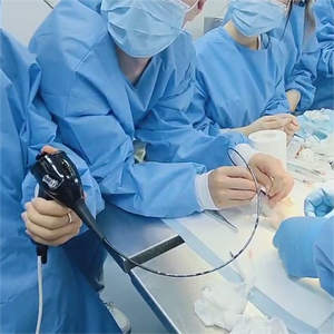 <span class=keywords><strong>WINTECH</strong></span> MINI Digitales Elektronisches Video-Endoskop Bronchoskop Flexibel Handgeführt für Veterinärmedizin Wiederverwendbar Diagnose Injektion - Product Image 6