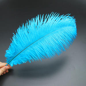 Penne nere di struzzo alla rinfusa-Bulu <span class=keywords><strong>Merak</strong></span> per il carnevale di Samba - Product Image 2