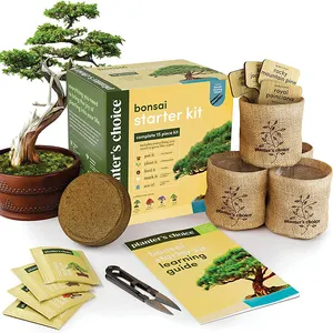 Maceta de cerámica bonsái árbol DIY Starter Kit de cultivo hidropónico con 13 piezas bonsái attrezzatura kit de herramientas de Bambú
